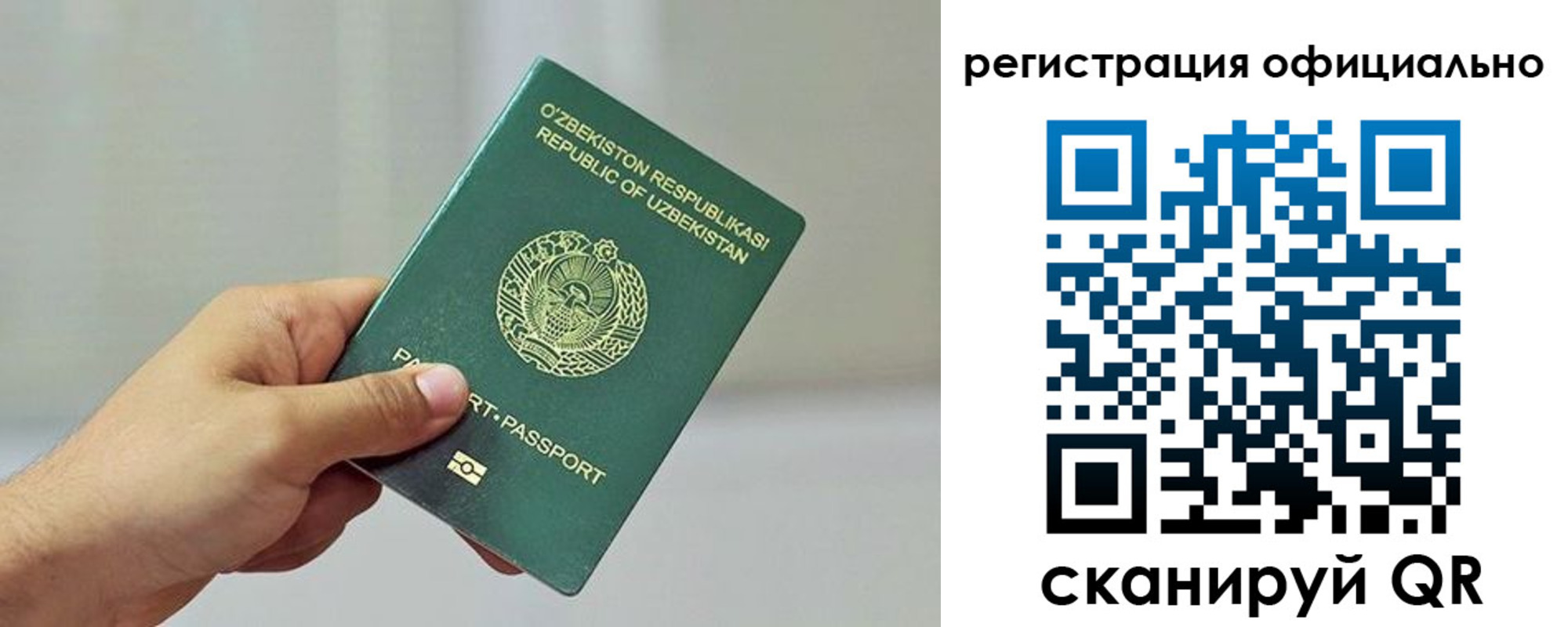 прописка в квартире в Коле