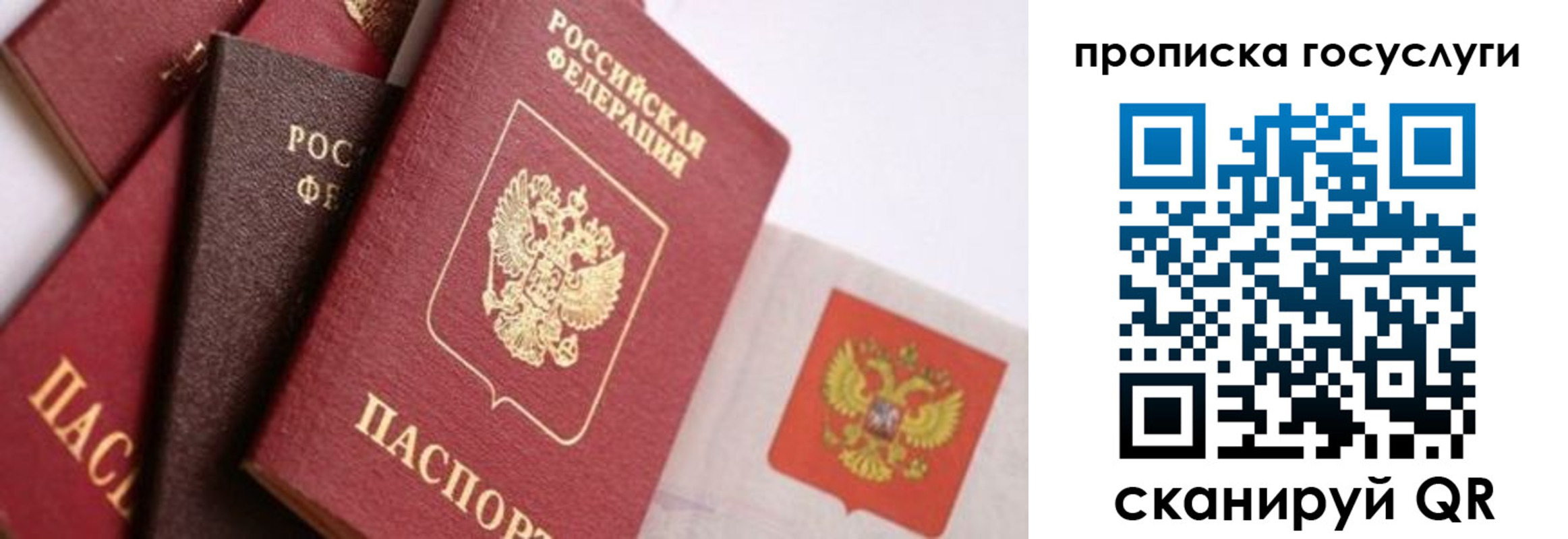 прописка законно в Коле